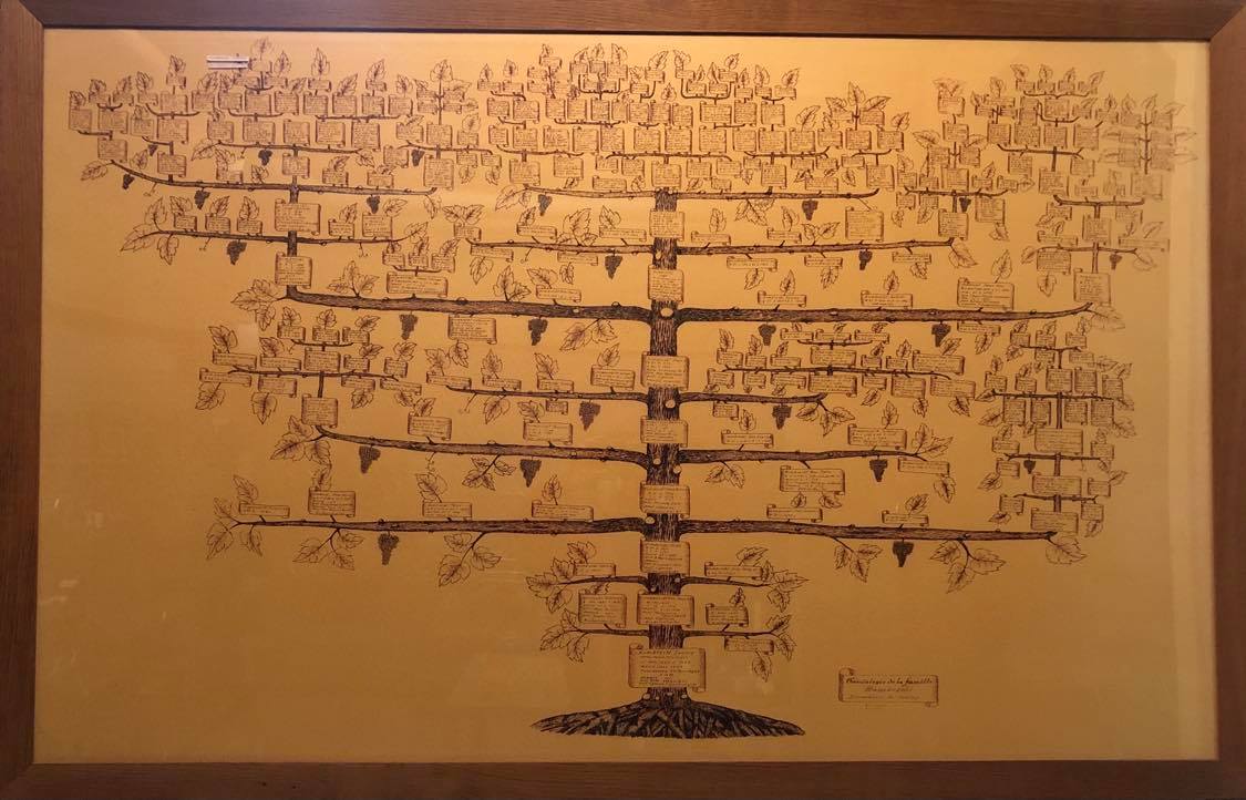Arbre généalogique de la famille Humbrecht dessiné en forme de cep