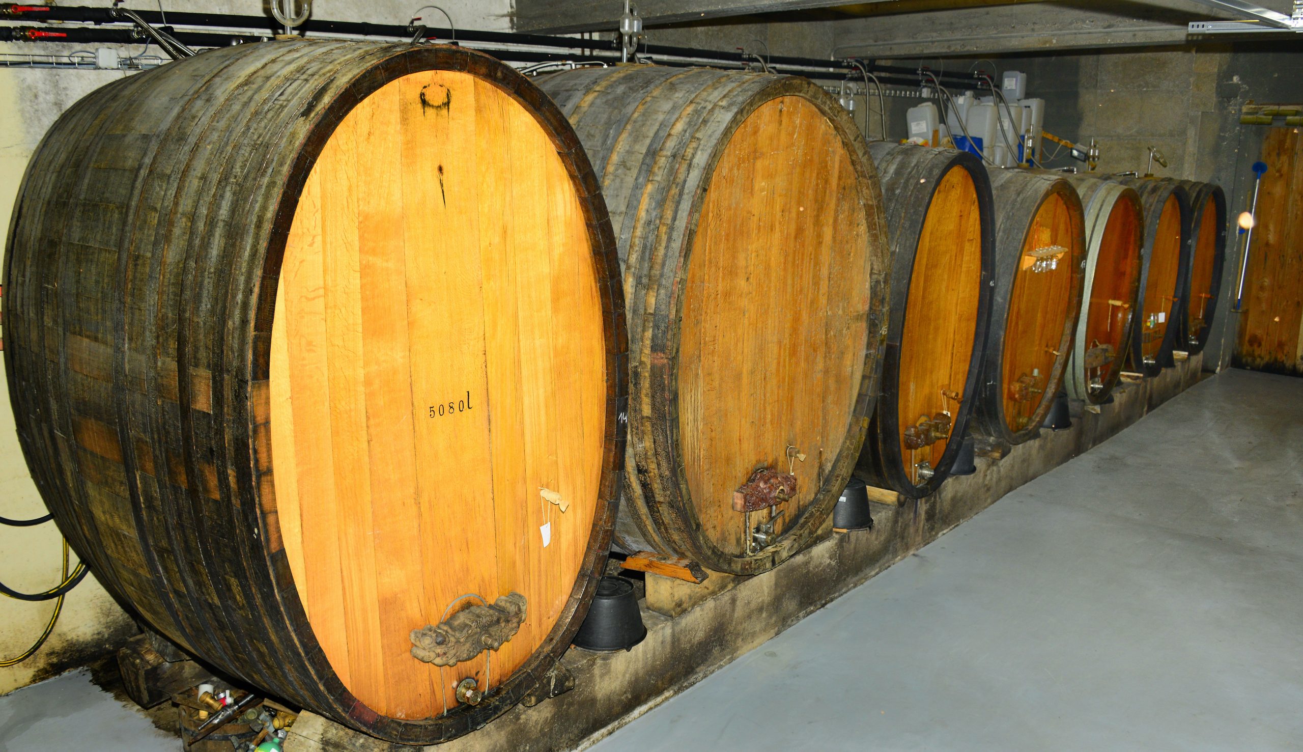 La cave à foudres de chêne du Domaine Humbrecht 1619 à Gueberschwihr